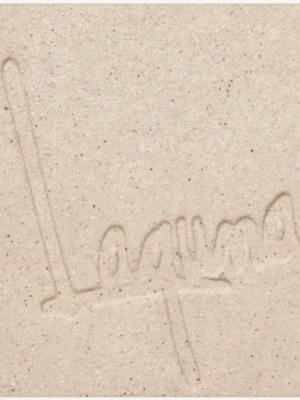 Laguna Max's Cone 06-10 Paper Clay