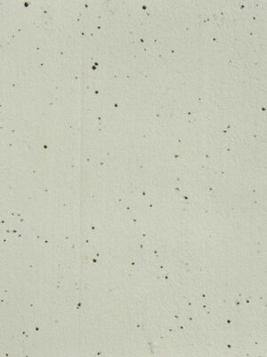 Primo Pro WMS2502 Stoneware Clay with Speckle
