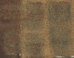 Abbots Bison Midfire Brushable Glaze 400mls